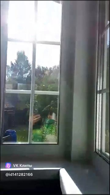1000011561.mp4