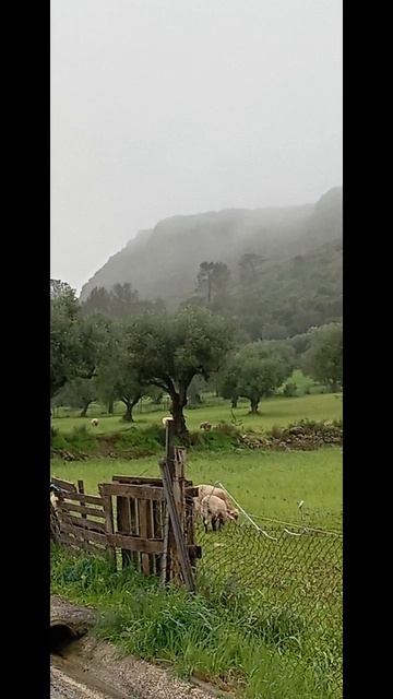 Португальская зима 🥰🇵🇹