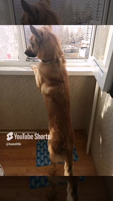 Для тех, кто еще не видел..😜🥰😍