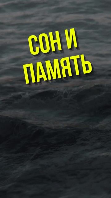 Сон и память