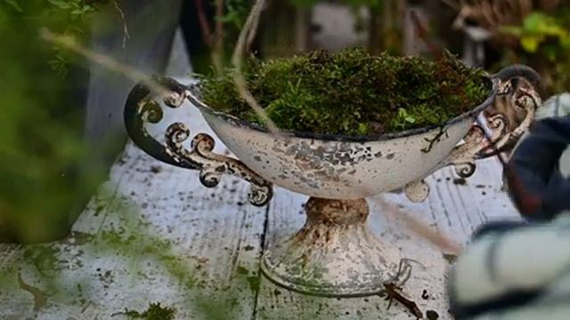 GardenDailylife_Vlog27.mp4