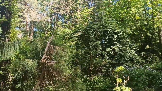 Обзор. "Сад на песке" Елены Грошавень в мае задержал нас в Коломне на сутки.