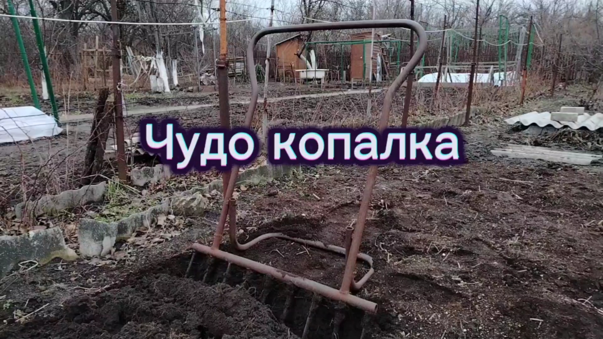 27-01-2025чудо копалка