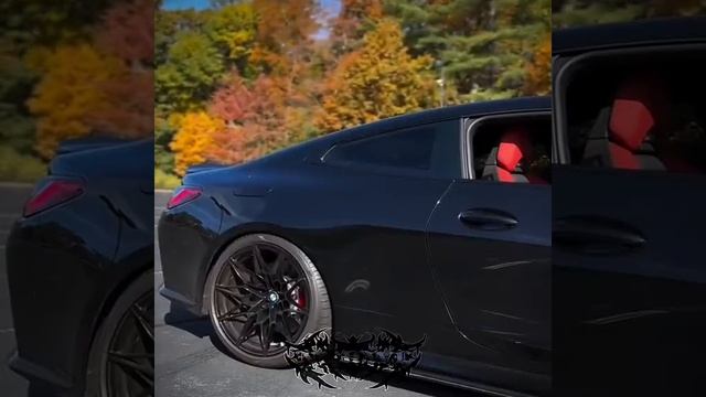 1000003104.mp4