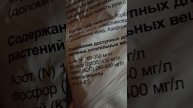 Грунт из Светофора