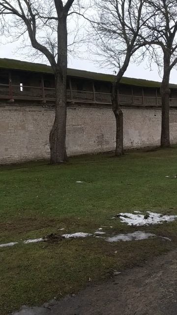 Псков. Троицкий собор в Кремле.