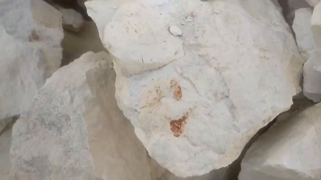 Возвращение в древнее море.mp4