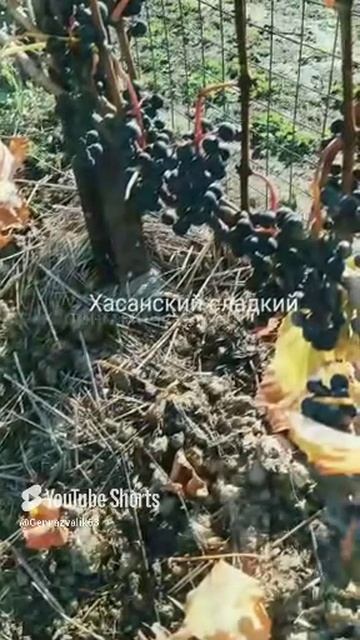 2 декабря 2022 г..mp4