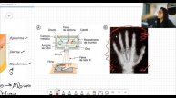 Ciências - 9º Ano Onda Eletromagnética: Raio -X e Raio Gama #20