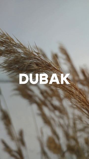 dubak.mp4