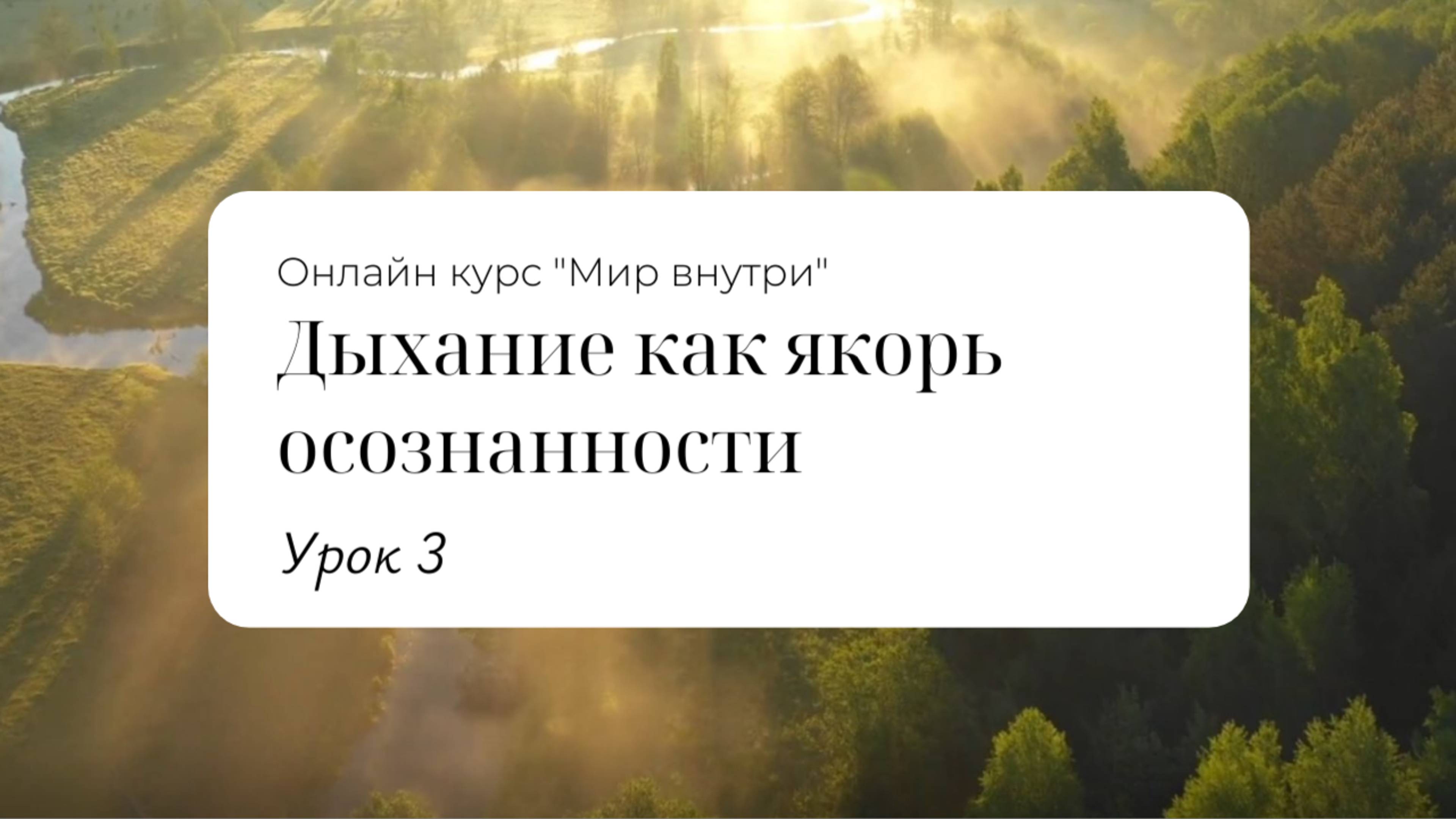 Урок 3: Дыхание как якорь осознанности