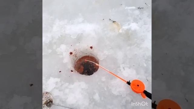 Маленькое озеро в НИЖНЕКАМСКЕ.Ловили уклейку и сорожку.