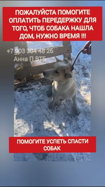 Сос , помогите пожалуйста мы не справляемся, очень большой поток, пожалуйста помогите