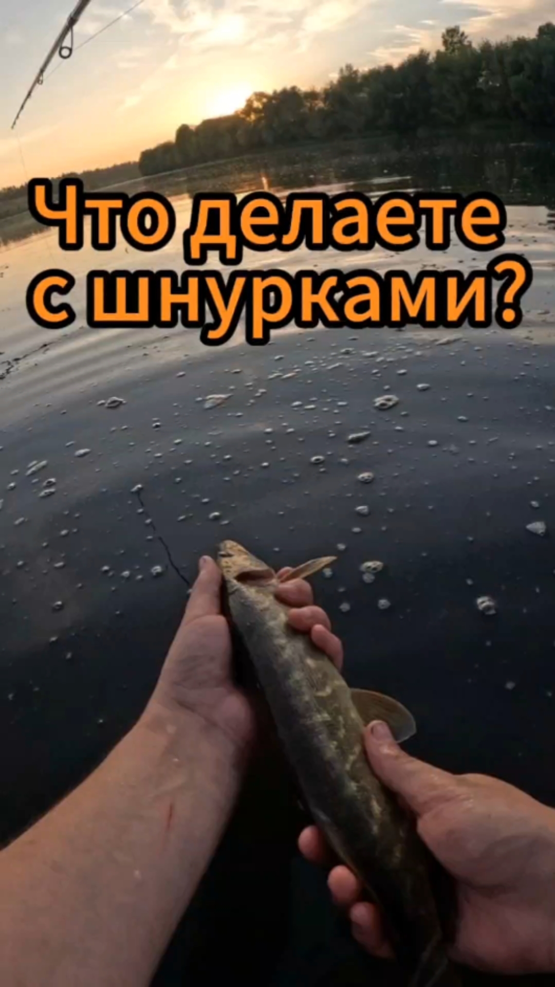 Рыбалка это хобби! А малька иногда стоит отпускать, делаете так?