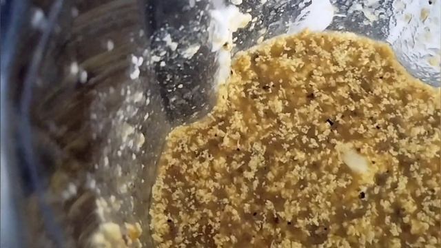 Bolo com as frutas da ora-pro-nobis sem glúten