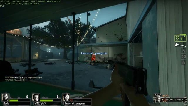 One Dumb Retarded Midnight shows skill killing Tank by HIDING in L4D2