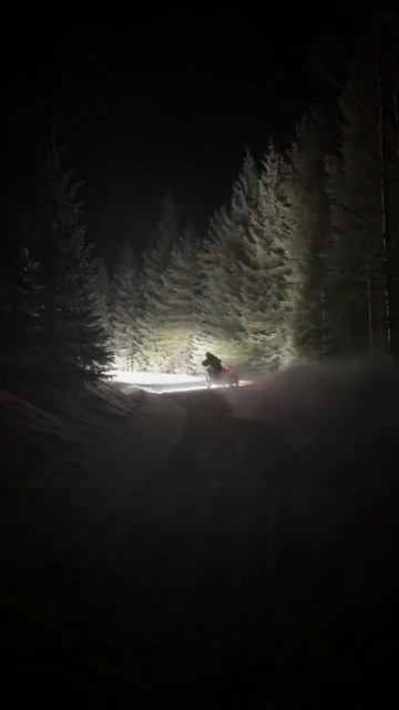 Drift+WRC lights💡🙀😍 #моторалли