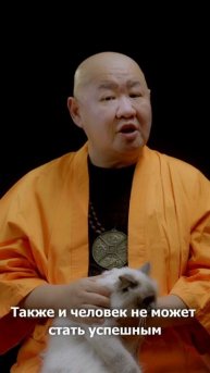 О достижении успеха #мудрость #монах #кот