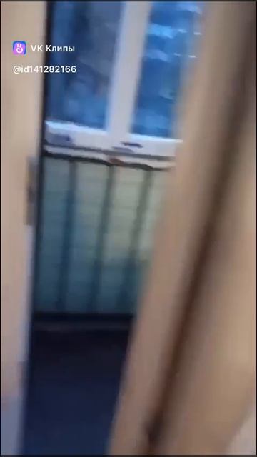 1000011553.mp4