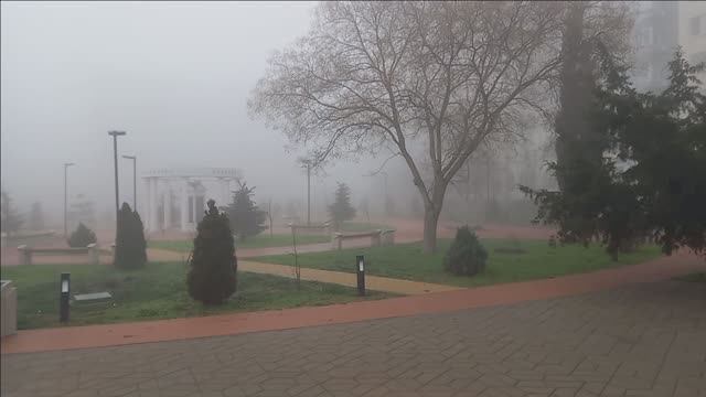Керчь. Туман 27.01.25