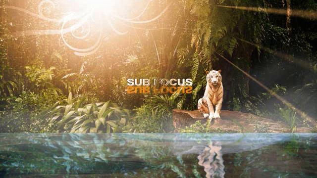 Sub Focus - Follow The Light