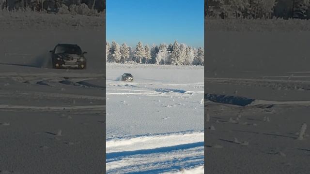 Счастье Субариста