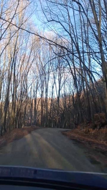 где-то рядом с Ай Петри
