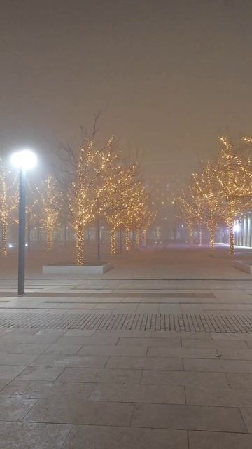 туман в парке галицкого краснодар