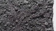 Разведение Дендробены из коконов. Прошло 2 недели.