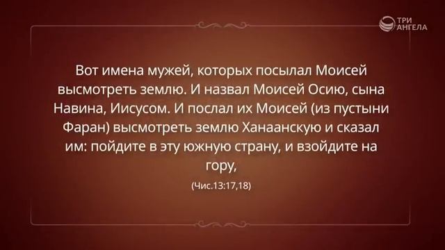 Любопытство,  хорошая черта характера или нет   _ Пастор Андрей Качалаба