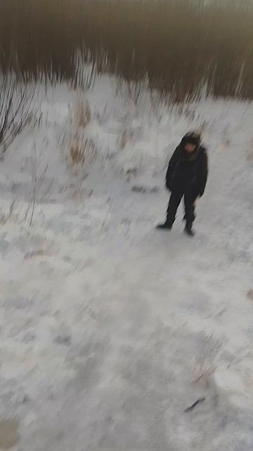 Вани по низу идут 4