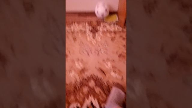 игра кальмара в реальной жизни😮👊✊🤛🤜⚡