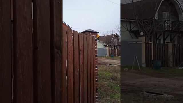 Автоматика для распашных ворот Came Ati