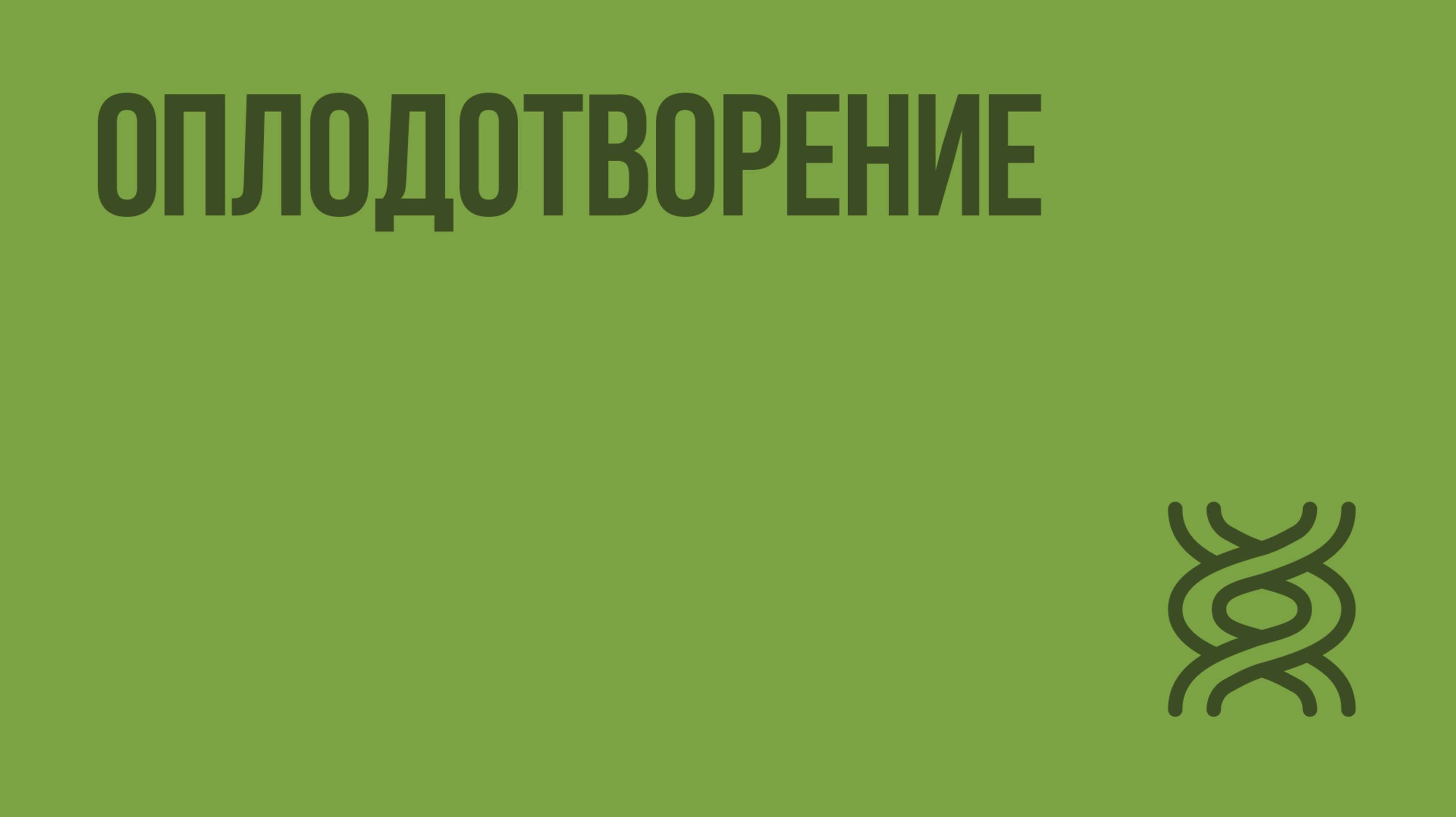 Оплодотворение. Видеоурок по биологии 10 класс