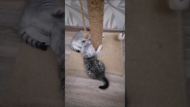 1000003572.mp4