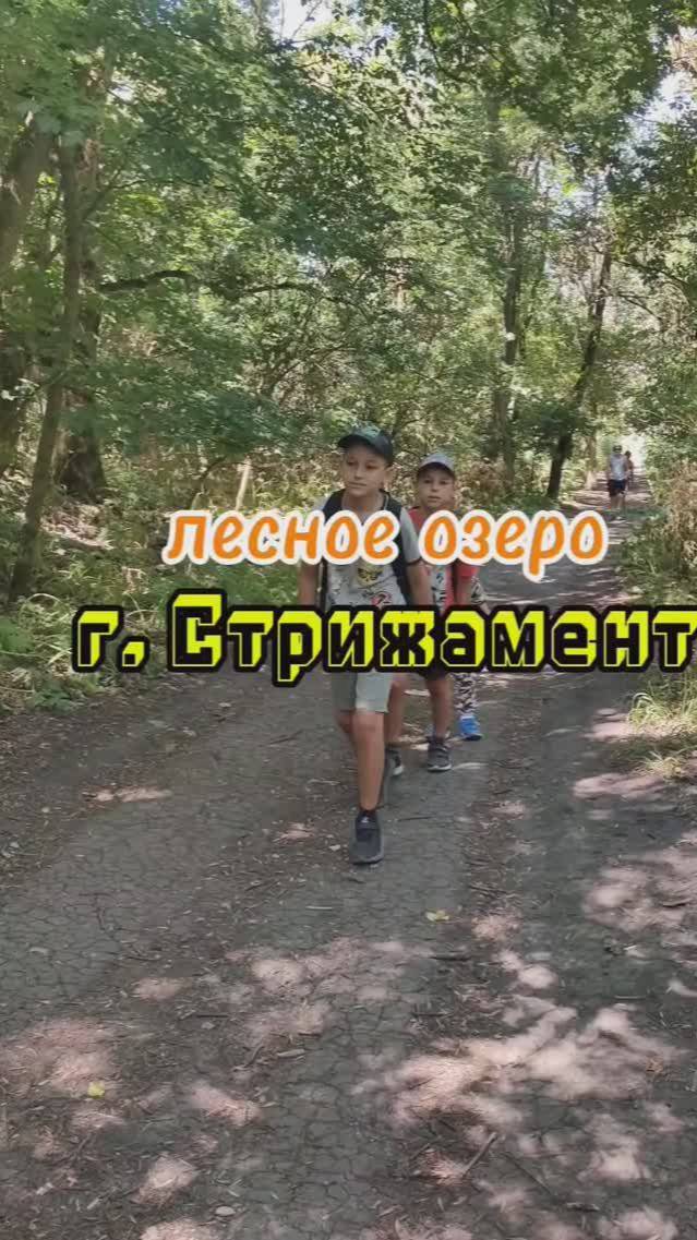 поход с детьми на лесное озеро#hiking #mountains #природа