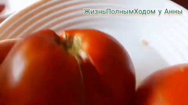 Огородный сезон 2024__25Серия