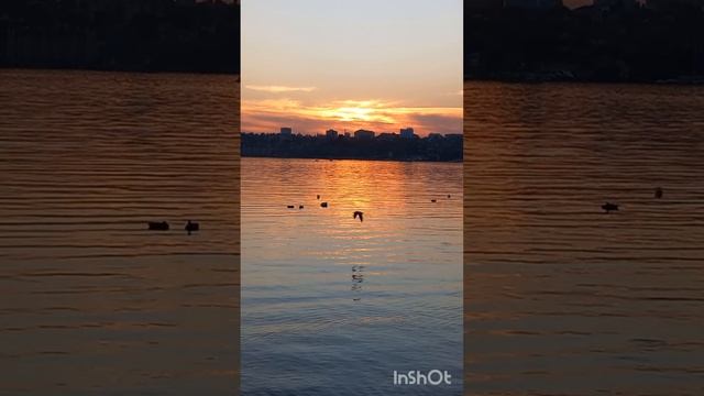 " Красивая, мудрая..." 
Песни на стихи Тавлади