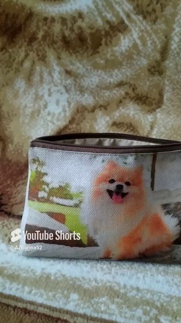 Что в моей косметичке? Что я ношу с собой?