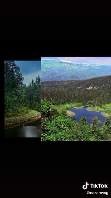 на природу 🌲🍃🌲