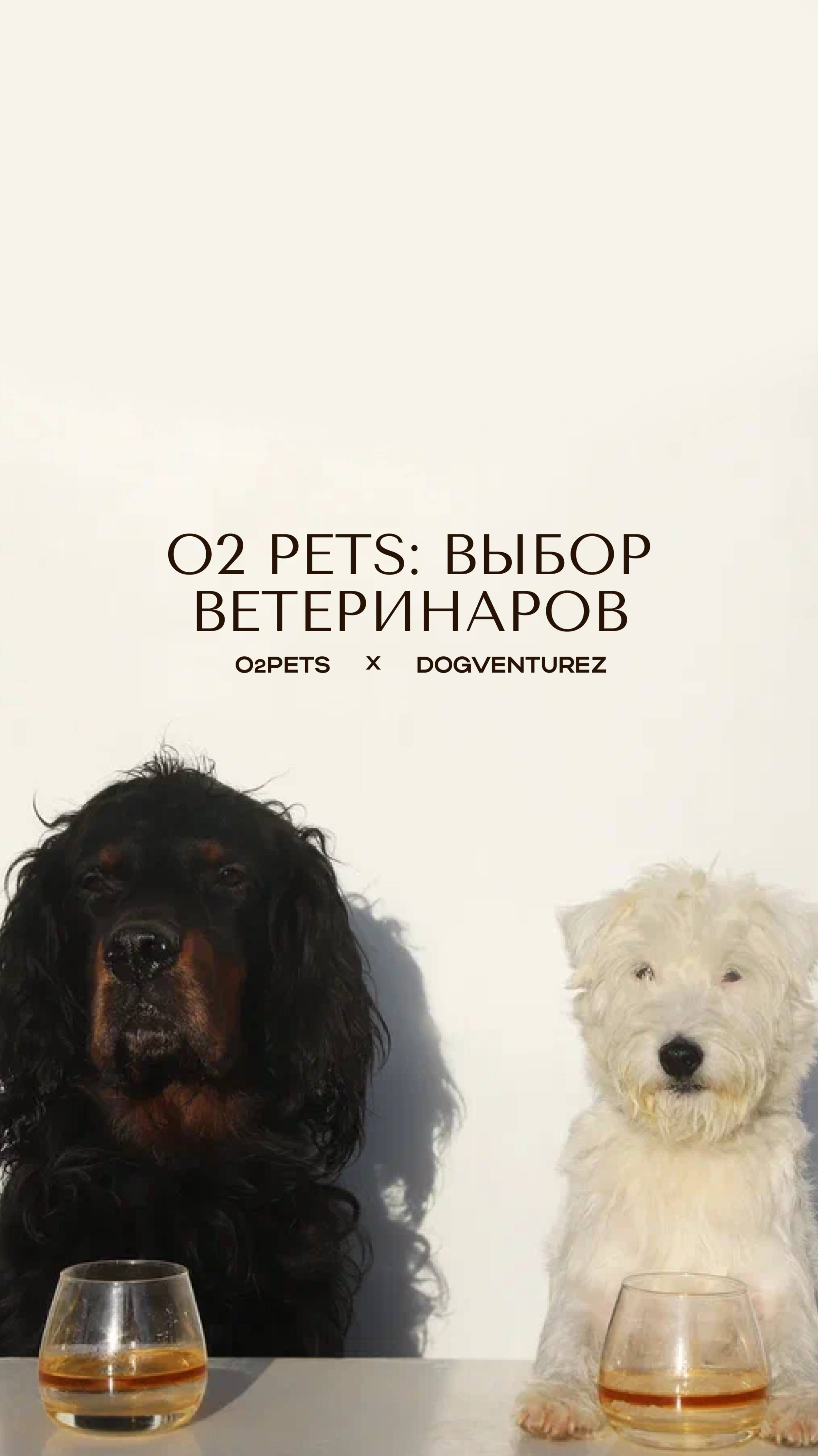Масло O2PETS любят не только владельцы питомцев — его рекомендуют и ветеринары!