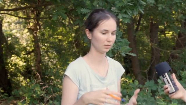 Отзыв о фестивале «Знания Мудрецов дольменов»