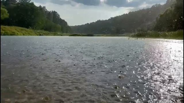 petal_20230329_124710.mp4