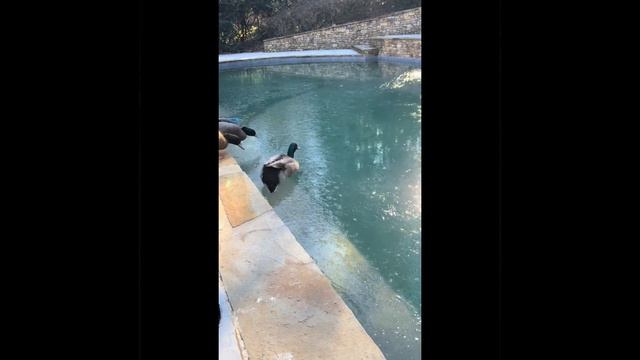 Странная вода