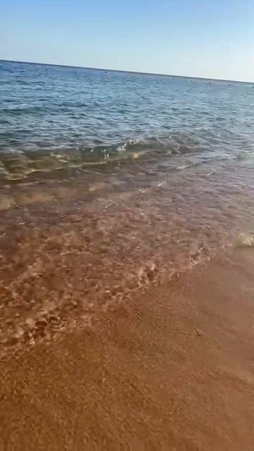 Шум моря
