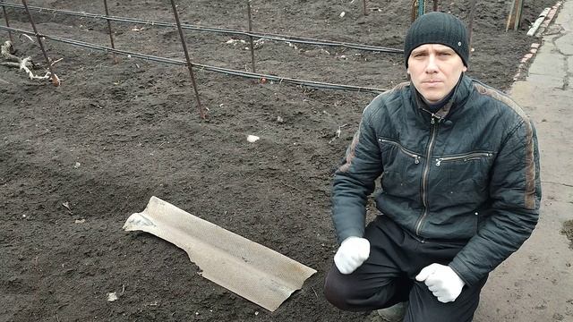 Как храним черенки винограда. 4 способа.