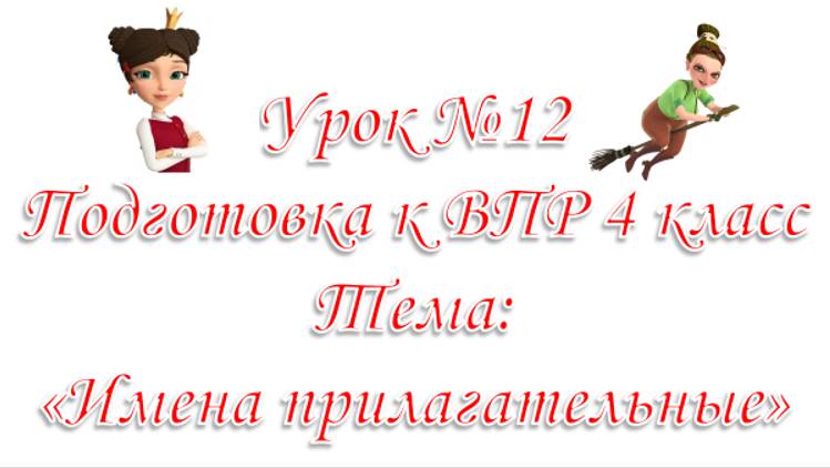 Подготовка к ВПР. Урок № 12 Имя прилагательное