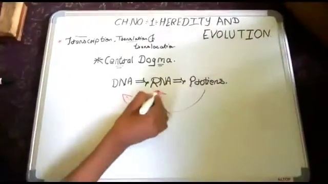 Transcription, translation, translocation science2 part 1