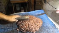 Бизнес. Разведение Дендробены .Закладка маточника. 3часть .