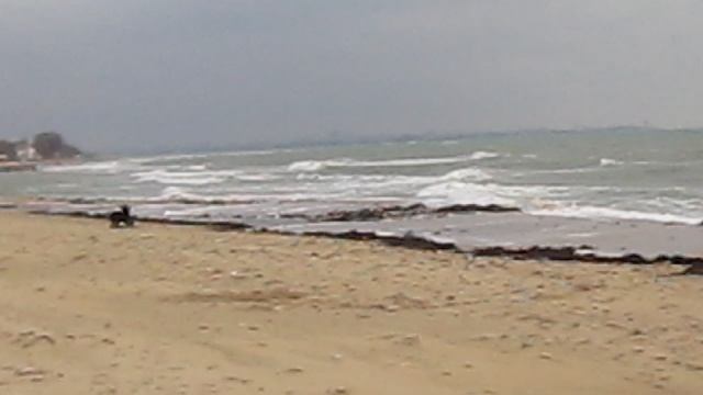 Роман-Кош Ирма Ладоуш на море. Крым. 2014г